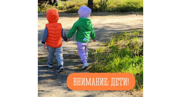 Внимание - дети! Внимание - дети!.