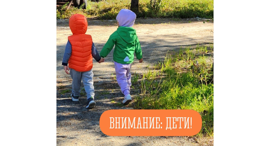Внимание - дети! Внимание - дети!.